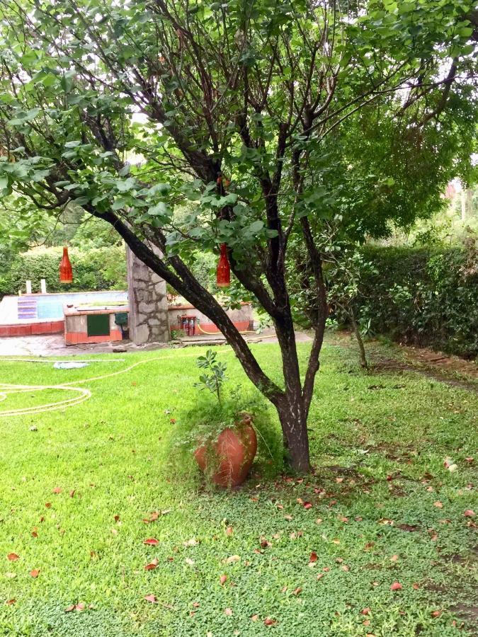 Bed&Breakfast El Trebol de Ezeiza La Union Exterior foto